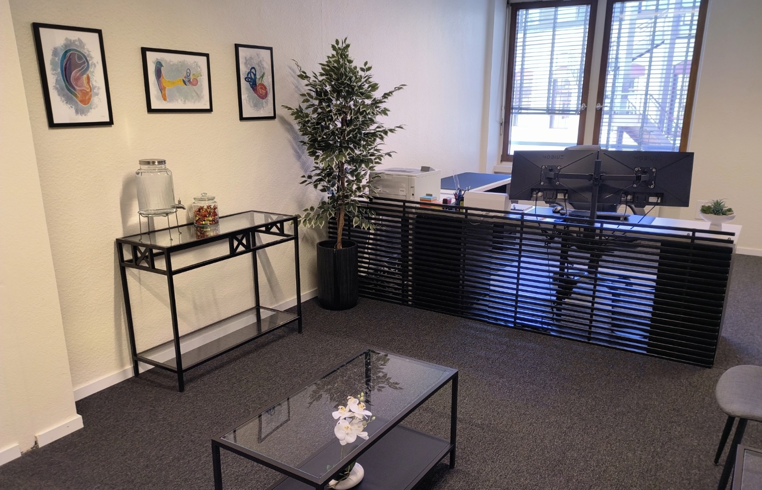 Salle d'accueil et d'attente du cabinet Physio Vestibulaire à Genève