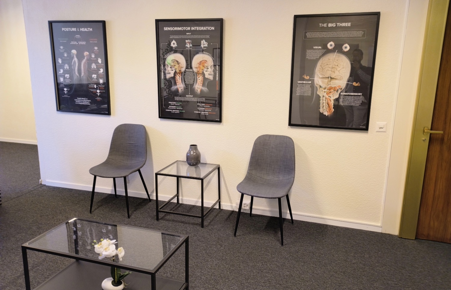 Salle d'attente du cabinet de rééducation vestibulaire à Genève avec planches pédagogiques sur l'équilibre